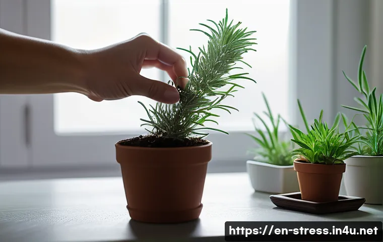 스트레스 해소법  실내 식물 기르기 관련 이미지 1